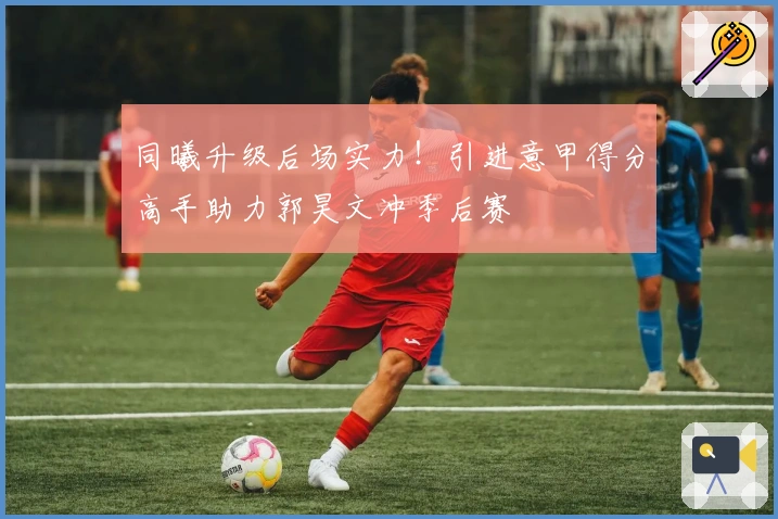 同曦升级后场实力！引进意甲得分高手助力郭昊文冲季后赛