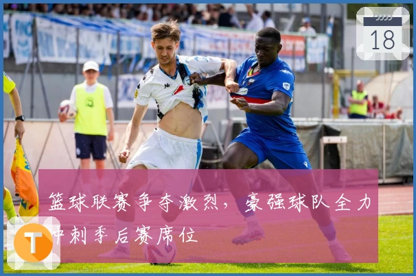 篮球联赛争夺激烈，豪强球队全力冲刺季后赛席位