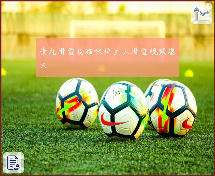 崇礼滑雪场猫咪伴主人滑雪视频爆火