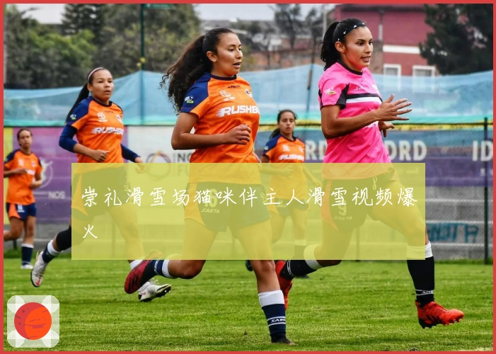 崇礼滑雪场猫咪伴主人滑雪视频爆火